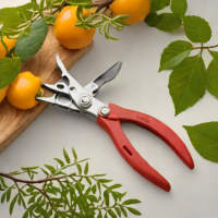 Corona Micro Pruning Shears