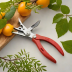 Corona Micro Pruning Shears
