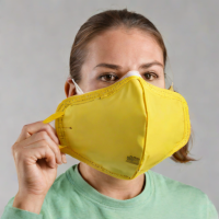 Dust Mask - 3M 8210 N95 Dust Mask