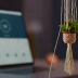 DIY Macrame Plant Hanger Kit