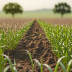 Drawdown: Regenerative Agriculture