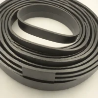 Dayco Poly-V Belt