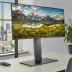 Dell UltraSharp U3421P