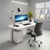 Desk365