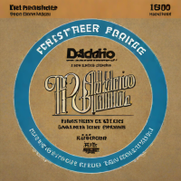 D'Addario EJ16 Phosphor Bronze Light