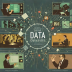 Data Ownership Rights