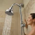 Delta In2ition Two-In-One Shower Head