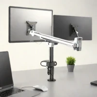 DeskFlow Articulating Mount