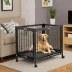 DIGGS Elevated Dog Crate