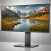 Dell UltraSharp U4320Q