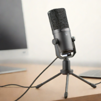 DPA 4060 Lav Microphone
