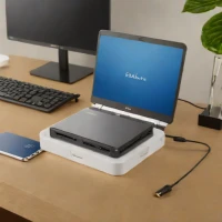 Delock Thunderbolt 3 HDD Enclosure