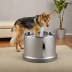 Drinkwell Platinum Pet Fountain