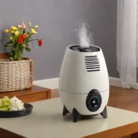 Duraflame Digital Flame Humidifier