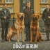 Dogs of Berlin