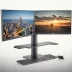Dell Dual Monitor Stand MDS19