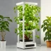 DIY Hydroponic Tower Garden