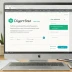 DigiCert Global WildSSL