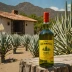 Del Maguey Santo Domingo Albarradas