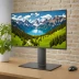 Dell UP3221Q 4K Monitor