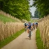 Dwars door het Hageland