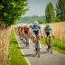 Dwars door de Westhoek