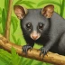 Daintree River Ringtail Possum
