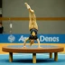 Double Twisting Yurchenko (Cheng vault variant)