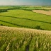 Don Steppe