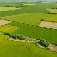 Dobrogea Steppe