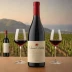 Domaine Drouhin Pinot Noir