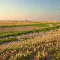 Don-Azov Steppe
