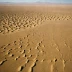 Dasht-e Kavir Steppe Margins