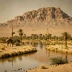 Desert, Marsh and Mountain