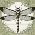 DragonFly BSD