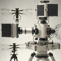 Dragonfly Telephoto Array