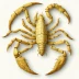 Diplocentrus whitei
