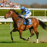 Dutch Derby