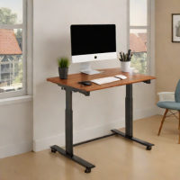 DeskMate Elite Standing Desk