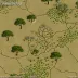 Dwarsberg-Swartruggens Mountain Bushveld