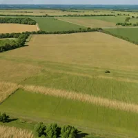 Dunn Ranch Prairie