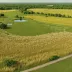 Diamond Grove Prairie Conservation Area