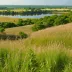Dewey Heights Prairie State Natural Area