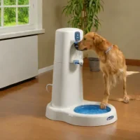 Drinkwell Big Dog Fountain
