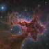 DWB 175