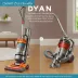 Dyson vs Shark