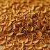 Dried Orange Peel