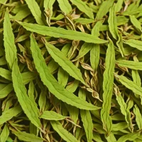Dried Lemon Verbena