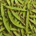 Dried Lemon Verbena