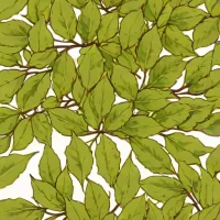 Dried Lemon Myrtle